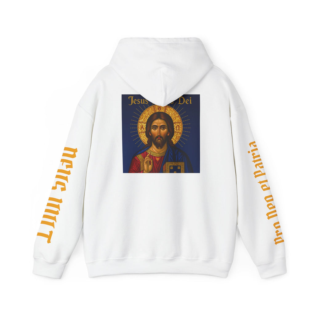 OFD-Jesus son of God, Divine Comfort Hoodie, Faith-Based Apparel, Christian Gift, Motivational Wear, Cozy Religious Sweatshirt