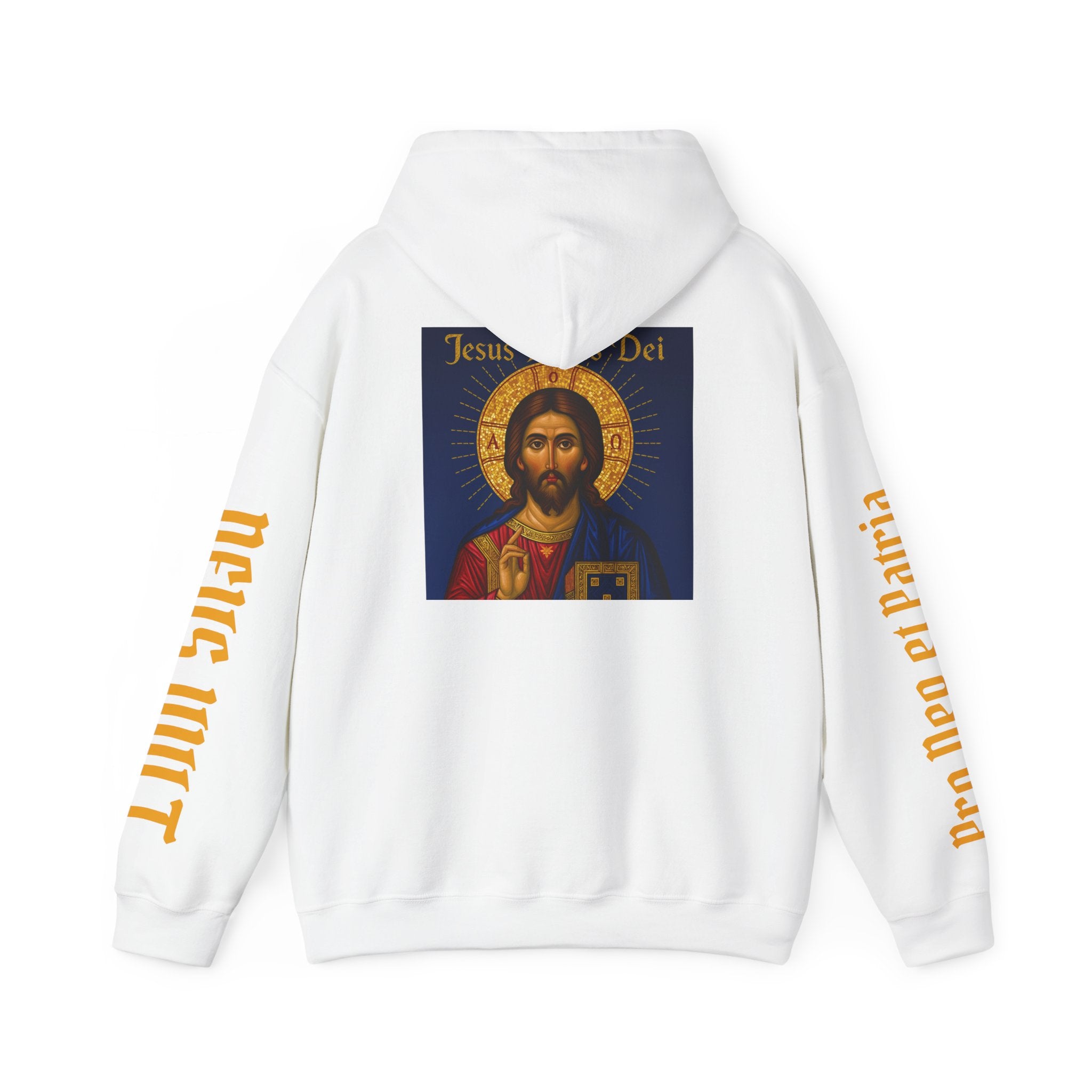 OFD-Jesus son of God, Divine Comfort Hoodie, Faith-Based Apparel, Christian Gift, Motivational Wear, Cozy Religious Sweatshirt