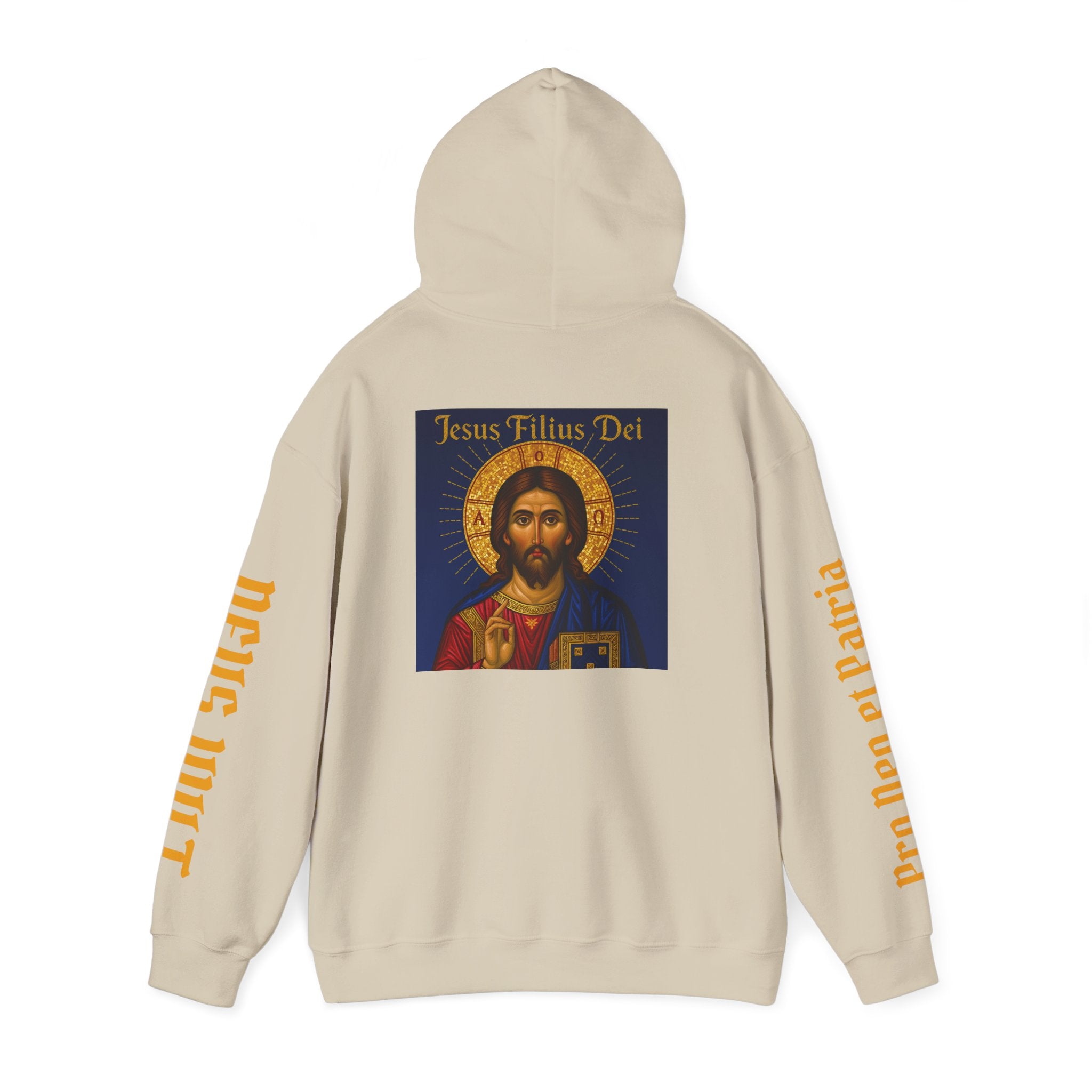 OFD-Jesus son of God, Divine Comfort Hoodie, Faith-Based Apparel, Christian Gift, Motivational Wear, Cozy Religious Sweatshirt