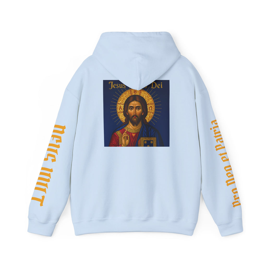 OFD-Jesus son of God, Divine Comfort Hoodie, Faith-Based Apparel, Christian Gift, Motivational Wear, Cozy Religious Sweatshirt