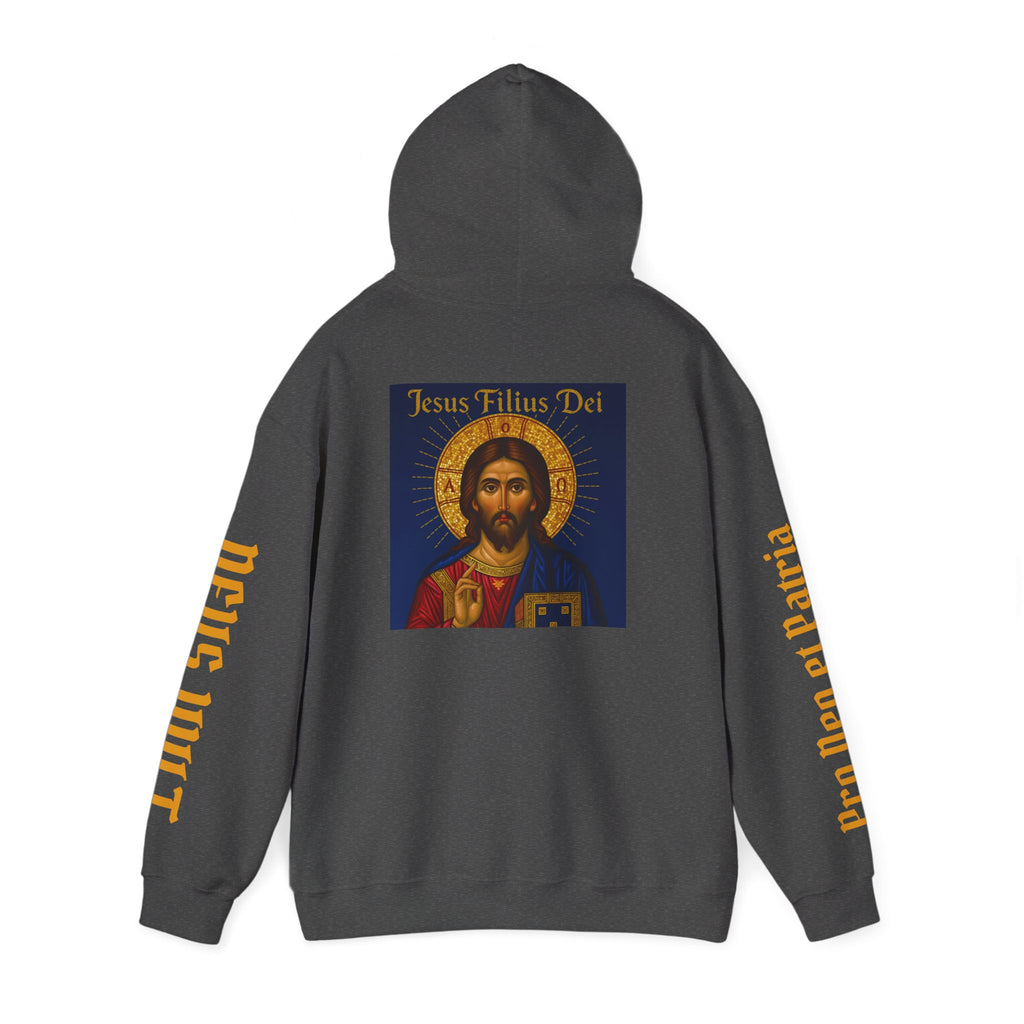OFD-Jesus son of God, Divine Comfort Hoodie, Faith-Based Apparel, Christian Gift, Motivational Wear, Cozy Religious Sweatshirt