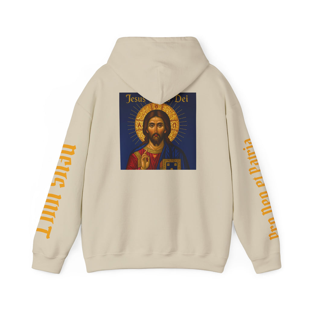OFD-Jesus son of God, Divine Comfort Hoodie, Faith-Based Apparel, Christian Gift, Motivational Wear, Cozy Religious Sweatshirt