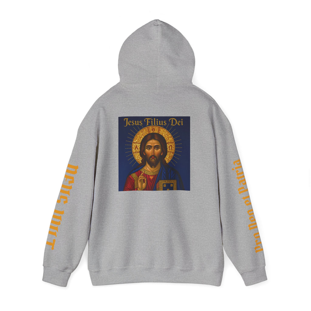 OFD-Jesus son of God, Divine Comfort Hoodie, Faith-Based Apparel, Christian Gift, Motivational Wear, Cozy Religious Sweatshirt