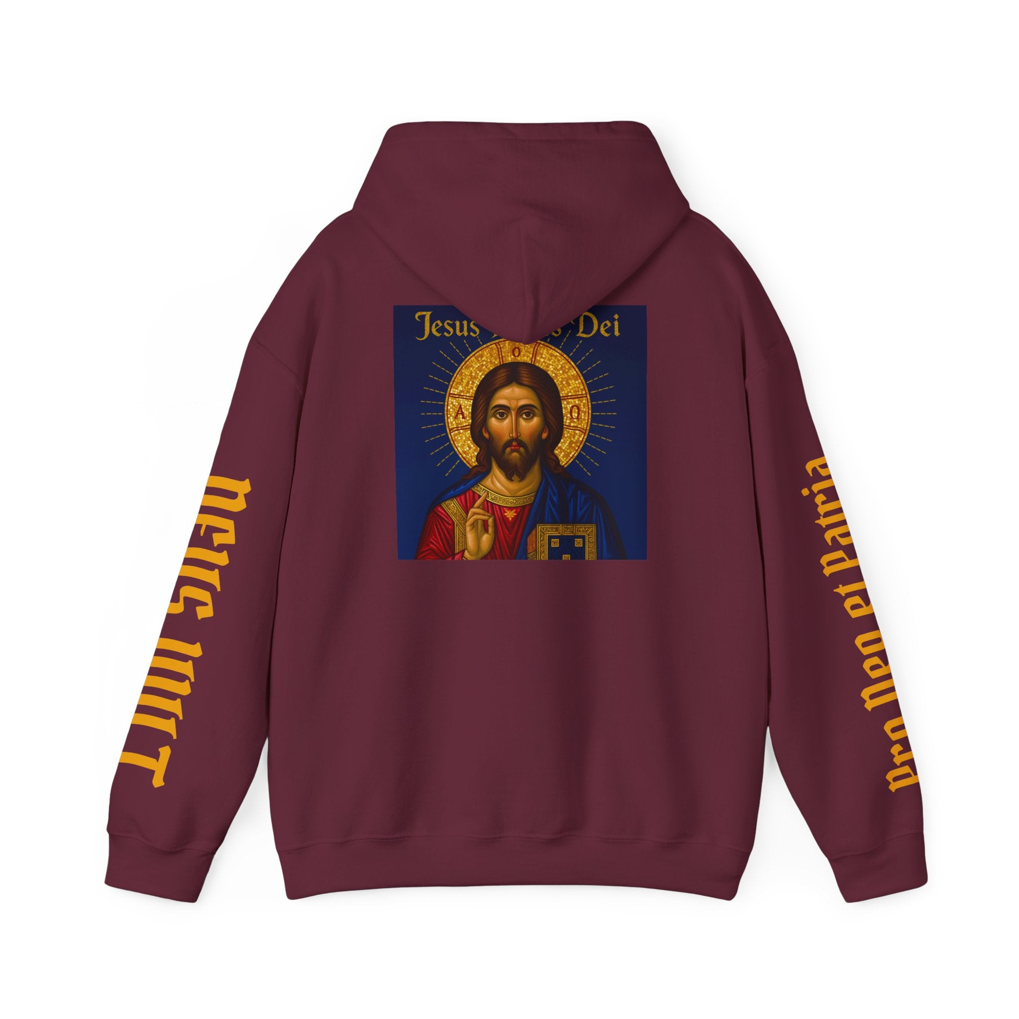OFD-Jesus son of God, Divine Comfort Hoodie, Faith-Based Apparel, Christian Gift, Motivational Wear, Cozy Religious Sweatshirt