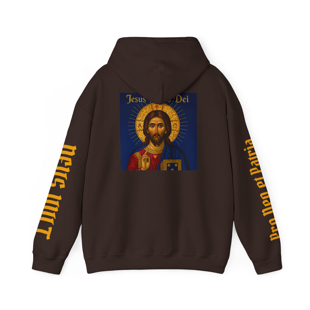 OFD-Jesus son of God, Divine Comfort Hoodie, Faith-Based Apparel, Christian Gift, Motivational Wear, Cozy Religious Sweatshirt