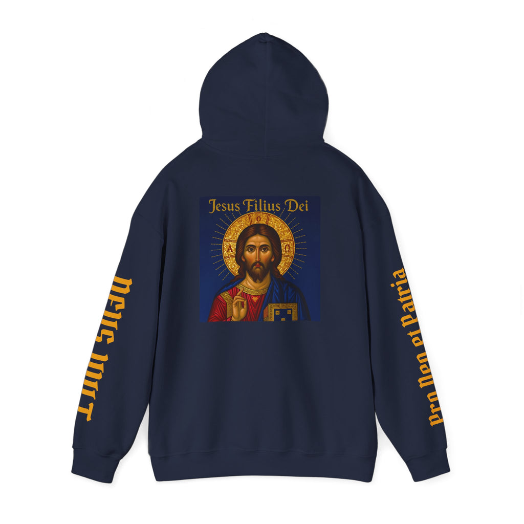 OFD-Jesus son of God, Divine Comfort Hoodie, Faith-Based Apparel, Christian Gift, Motivational Wear, Cozy Religious Sweatshirt