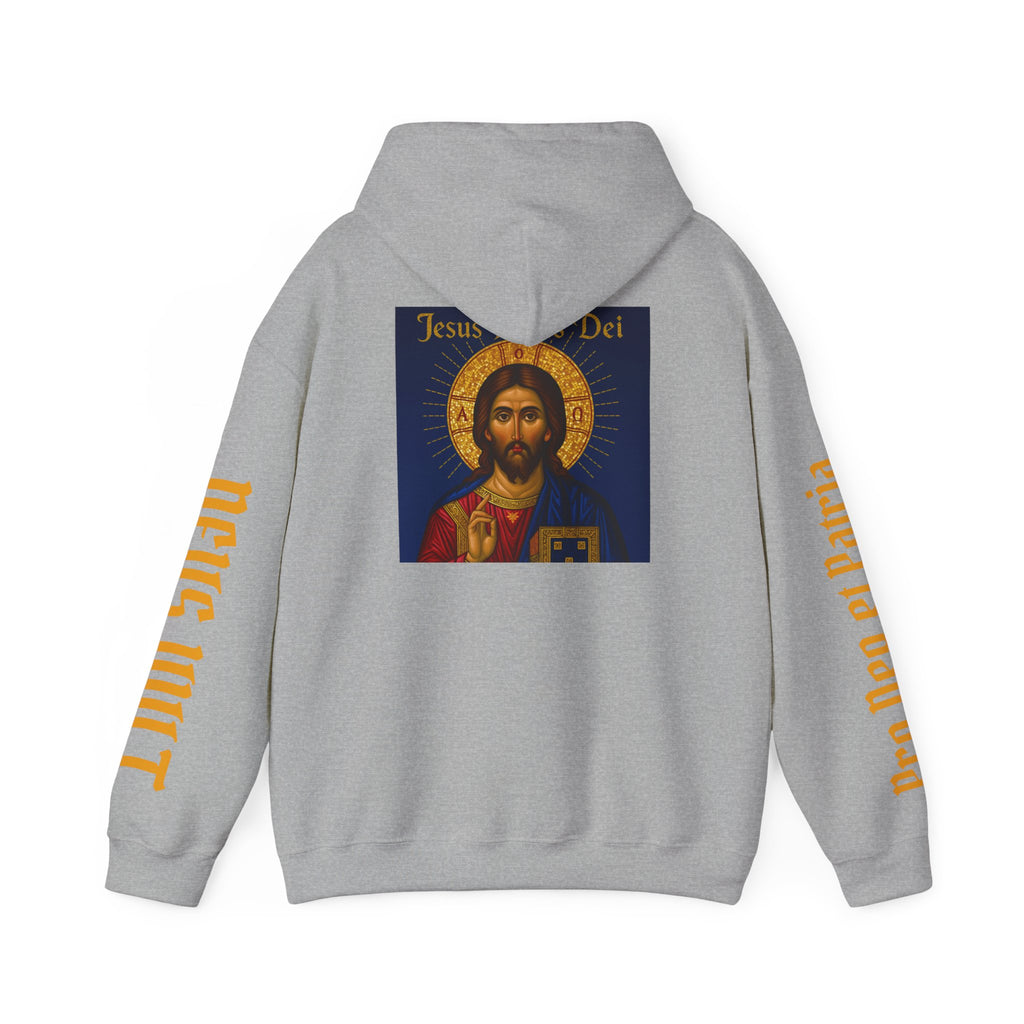 OFD-Jesus son of God, Divine Comfort Hoodie, Faith-Based Apparel, Christian Gift, Motivational Wear, Cozy Religious Sweatshirt