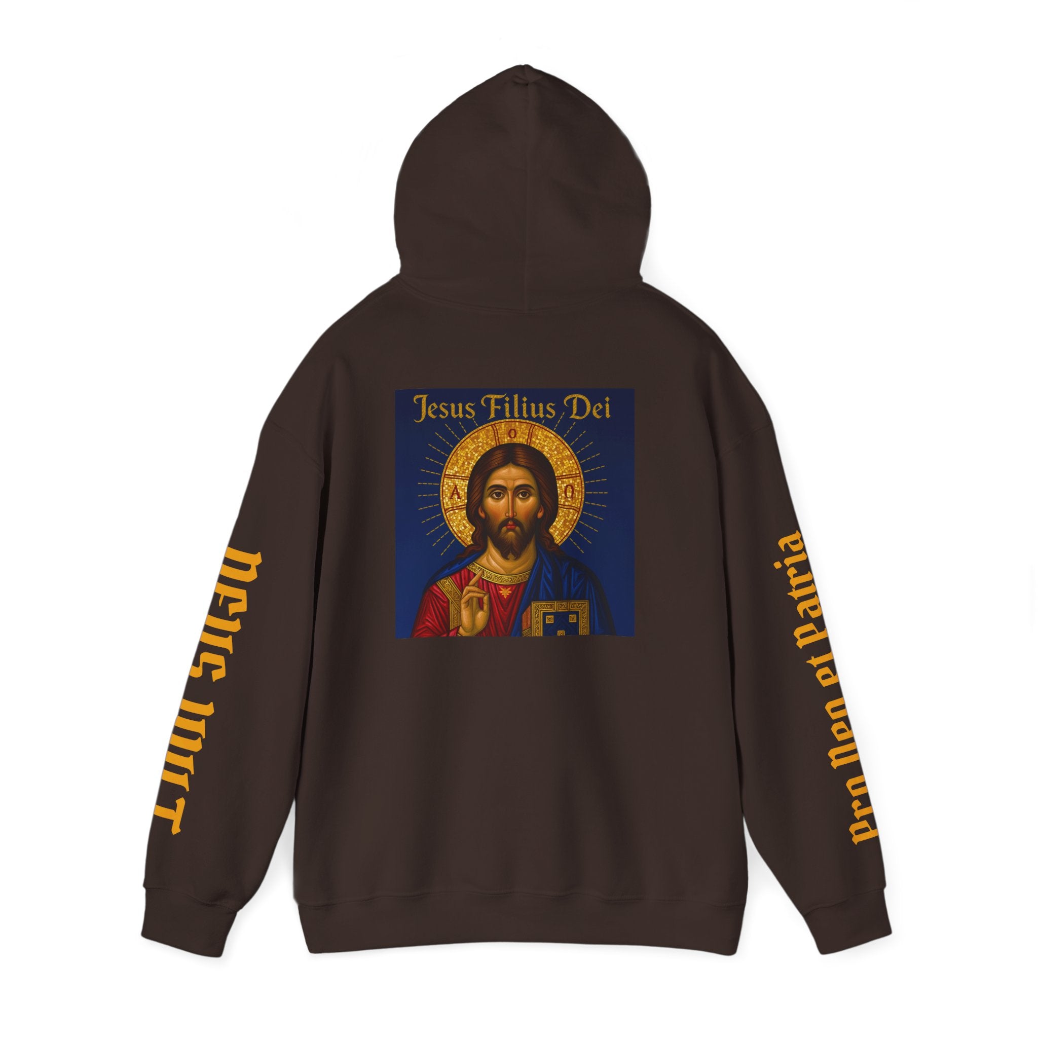 OFD-Jesus son of God, Divine Comfort Hoodie, Faith-Based Apparel, Christian Gift, Motivational Wear, Cozy Religious Sweatshirt