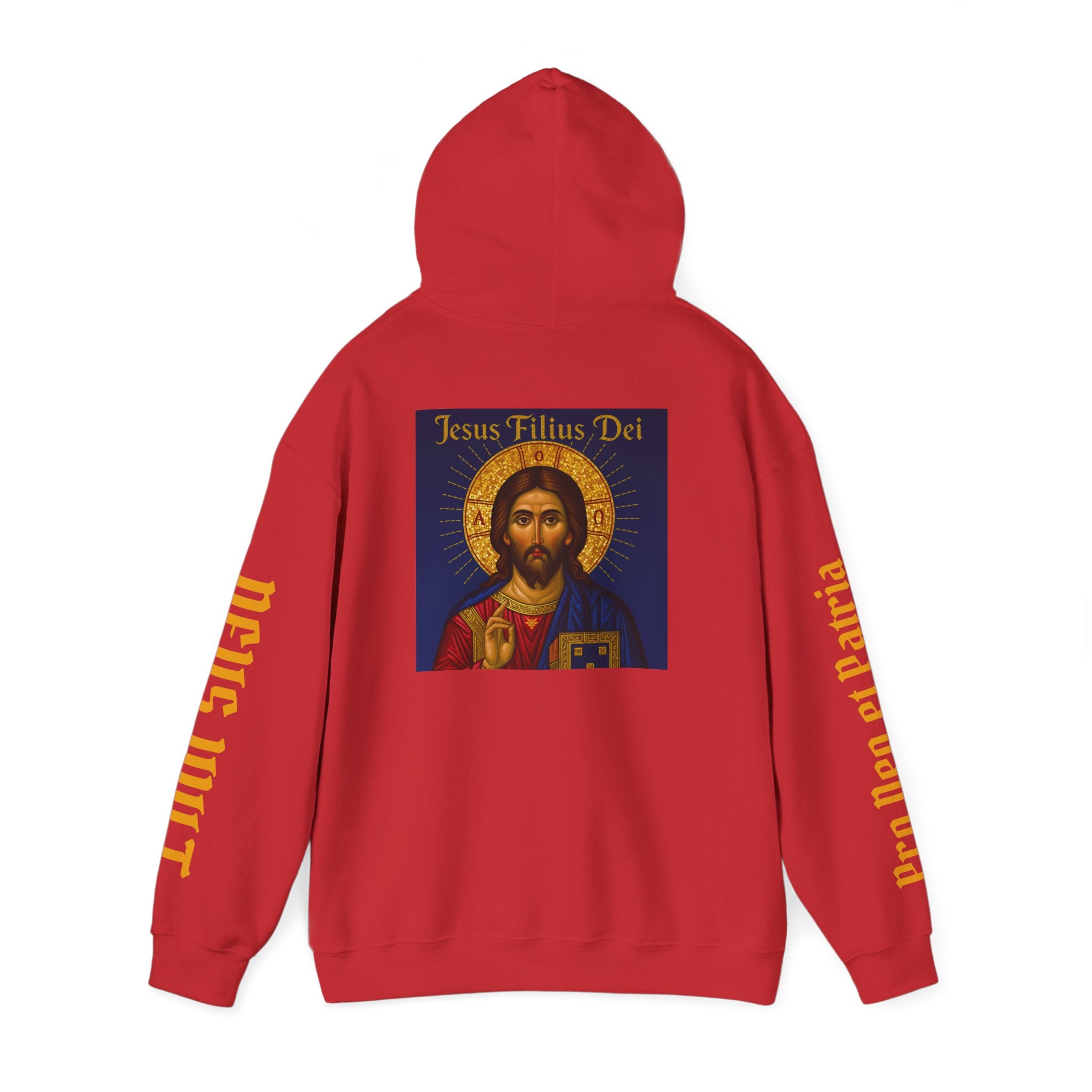 OFD-Jesus son of God, Divine Comfort Hoodie, Faith-Based Apparel, Christian Gift, Motivational Wear, Cozy Religious Sweatshirt