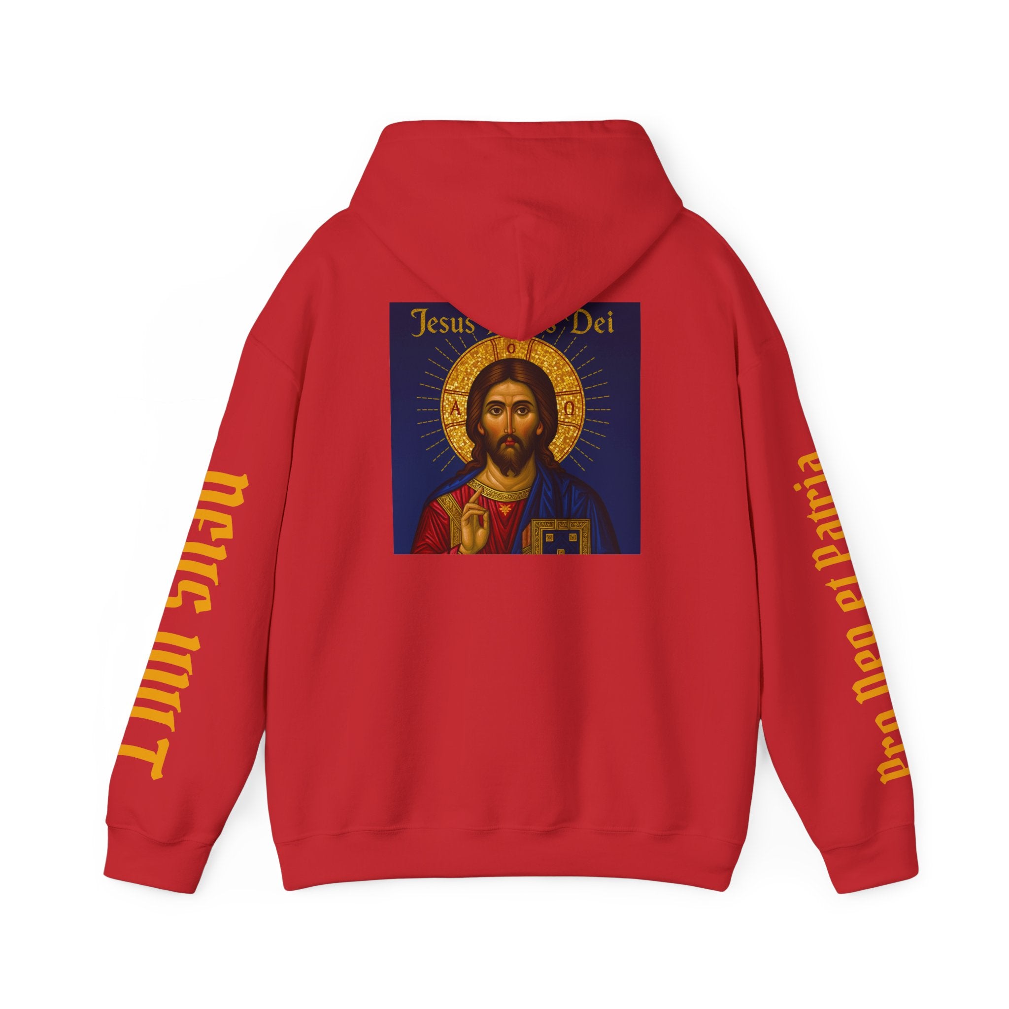 OFD-Jesus son of God, Divine Comfort Hoodie, Faith-Based Apparel, Christian Gift, Motivational Wear, Cozy Religious Sweatshirt