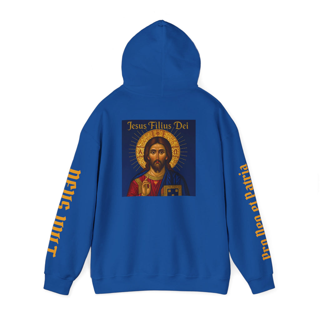 OFD-Jesus son of God, Divine Comfort Hoodie, Faith-Based Apparel, Christian Gift, Motivational Wear, Cozy Religious Sweatshirt