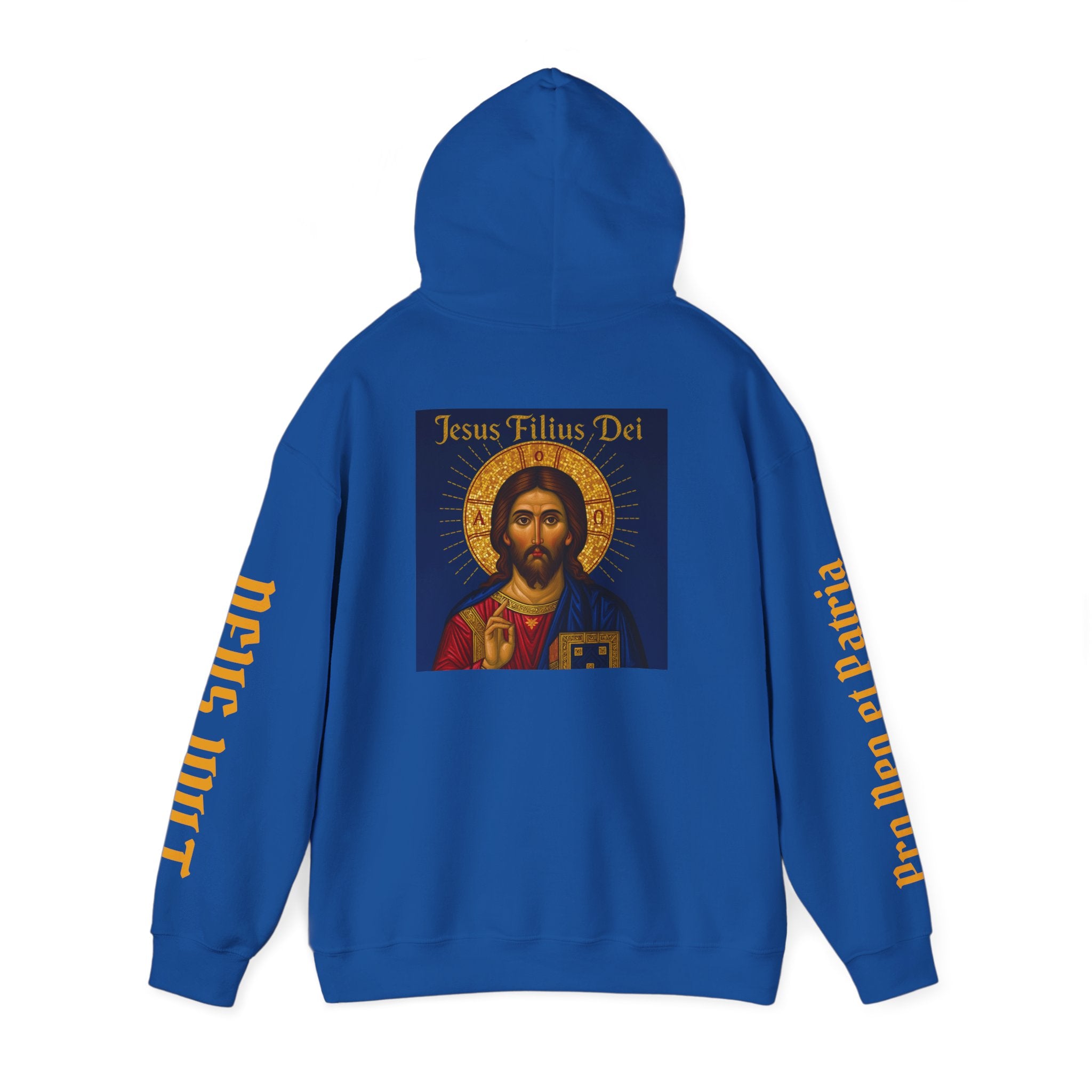 OFD-Jesus son of God, Divine Comfort Hoodie, Faith-Based Apparel, Christian Gift, Motivational Wear, Cozy Religious Sweatshirt