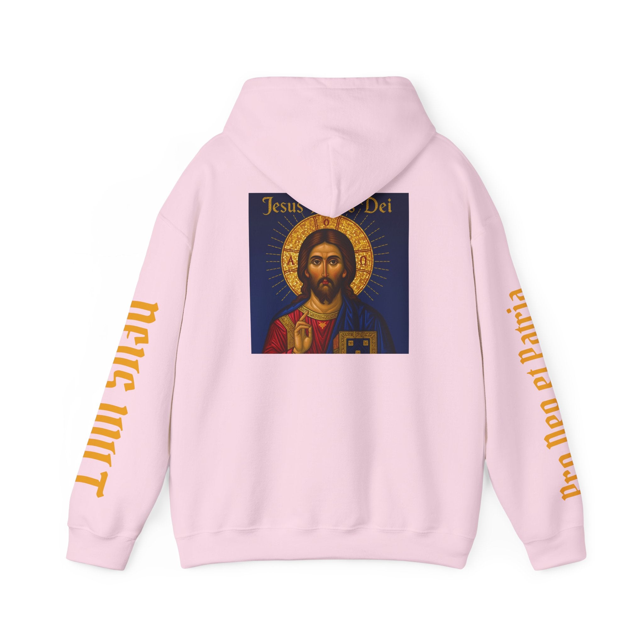 OFD-Jesus son of God, Divine Comfort Hoodie, Faith-Based Apparel, Christian Gift, Motivational Wear, Cozy Religious Sweatshirt