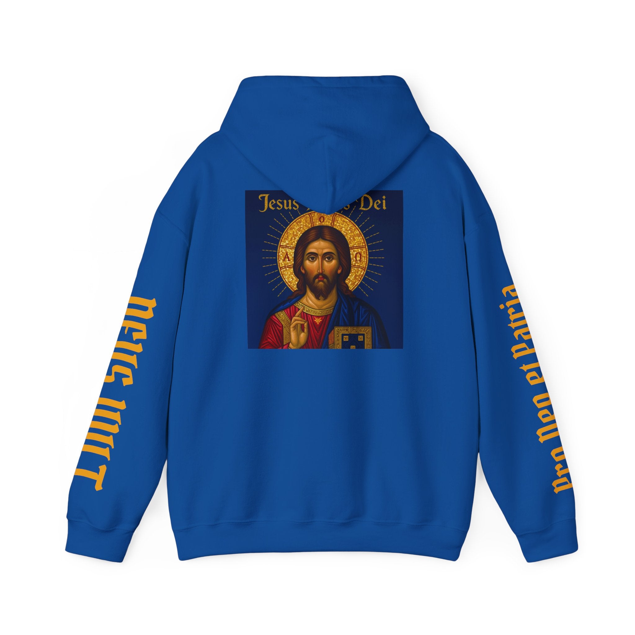 OFD-Jesus son of God, Divine Comfort Hoodie, Faith-Based Apparel, Christian Gift, Motivational Wear, Cozy Religious Sweatshirt