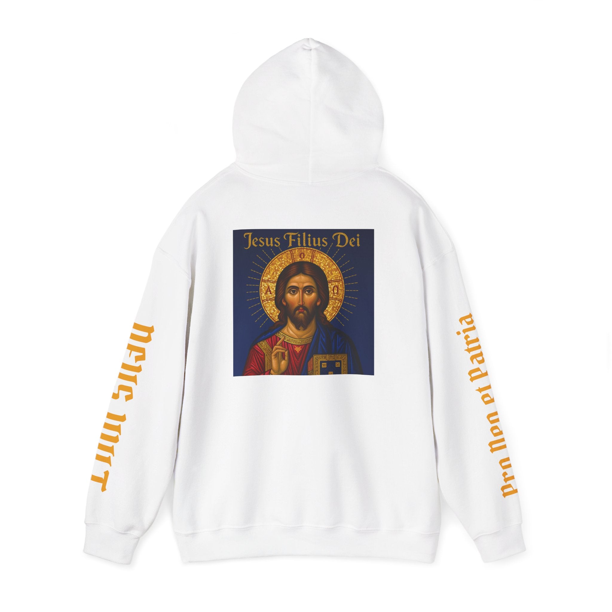 OFD-Jesus son of God, Divine Comfort Hoodie, Faith-Based Apparel, Christian Gift, Motivational Wear, Cozy Religious Sweatshirt