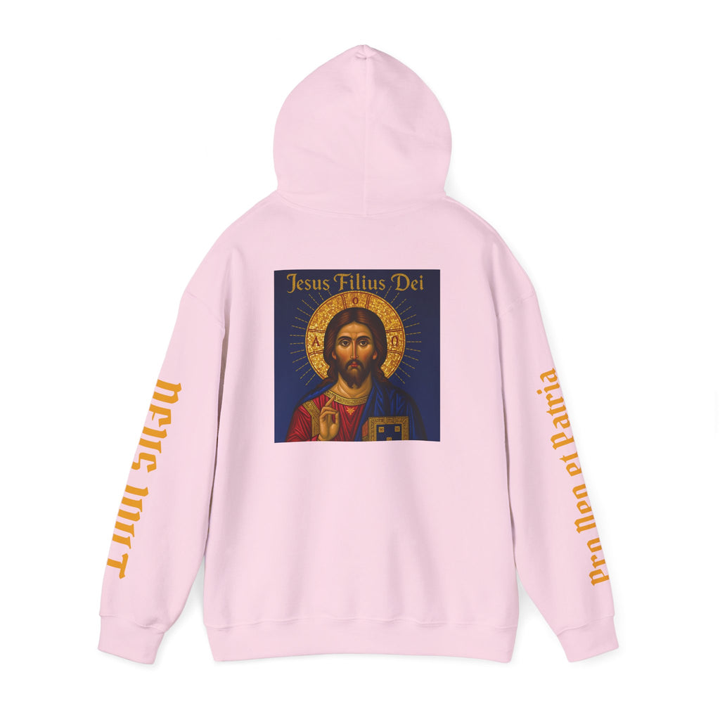 OFD-Jesus son of God, Divine Comfort Hoodie, Faith-Based Apparel, Christian Gift, Motivational Wear, Cozy Religious Sweatshirt
