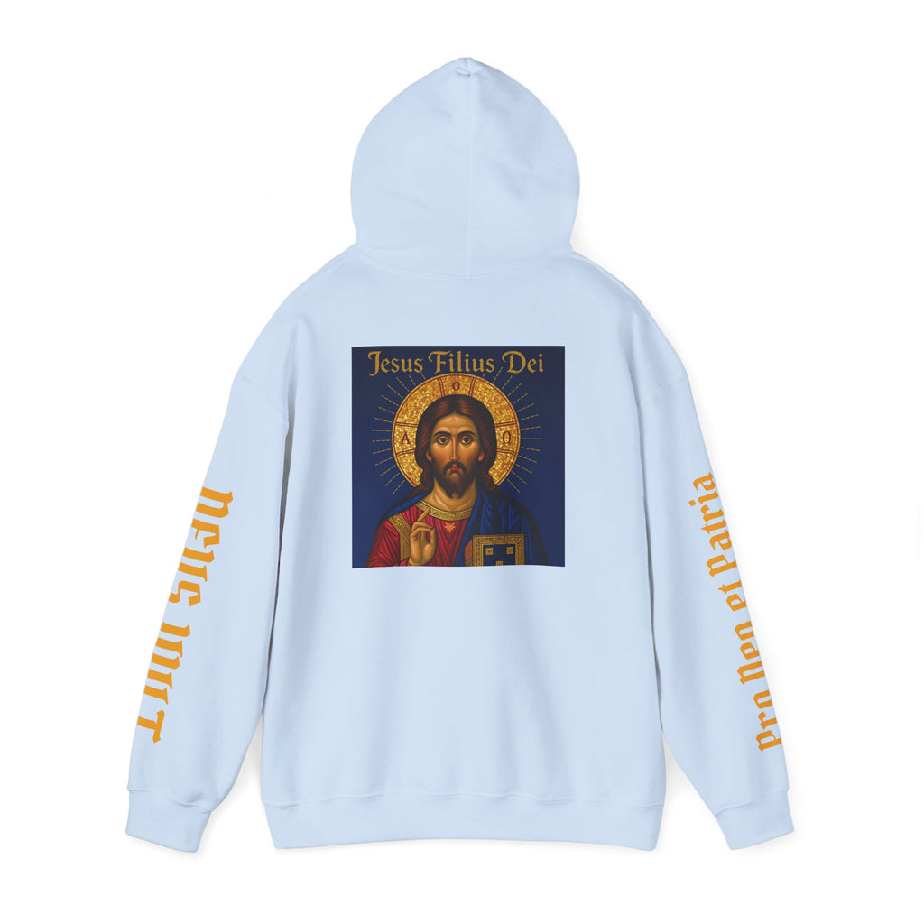 OFD-Jesus son of God, Divine Comfort Hoodie, Faith-Based Apparel, Christian Gift, Motivational Wear, Cozy Religious Sweatshirt