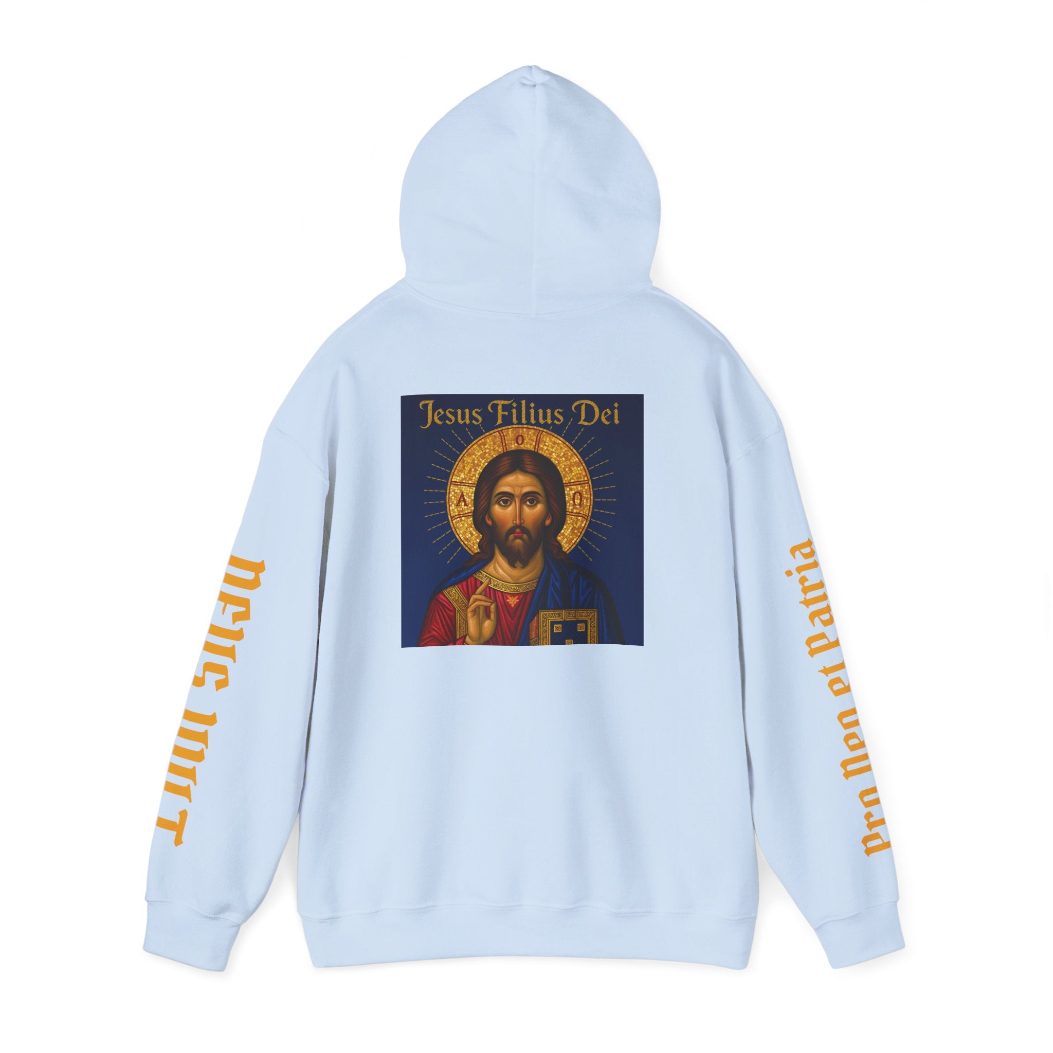 OFD-Jesus son of God, Divine Comfort Hoodie, Faith-Based Apparel, Christian Gift, Motivational Wear, Cozy Religious Sweatshirt
